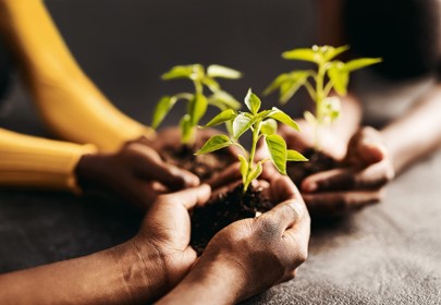 Three sets of hands gently holding soil with plants growing healthily up and out of the soil due to this loving support