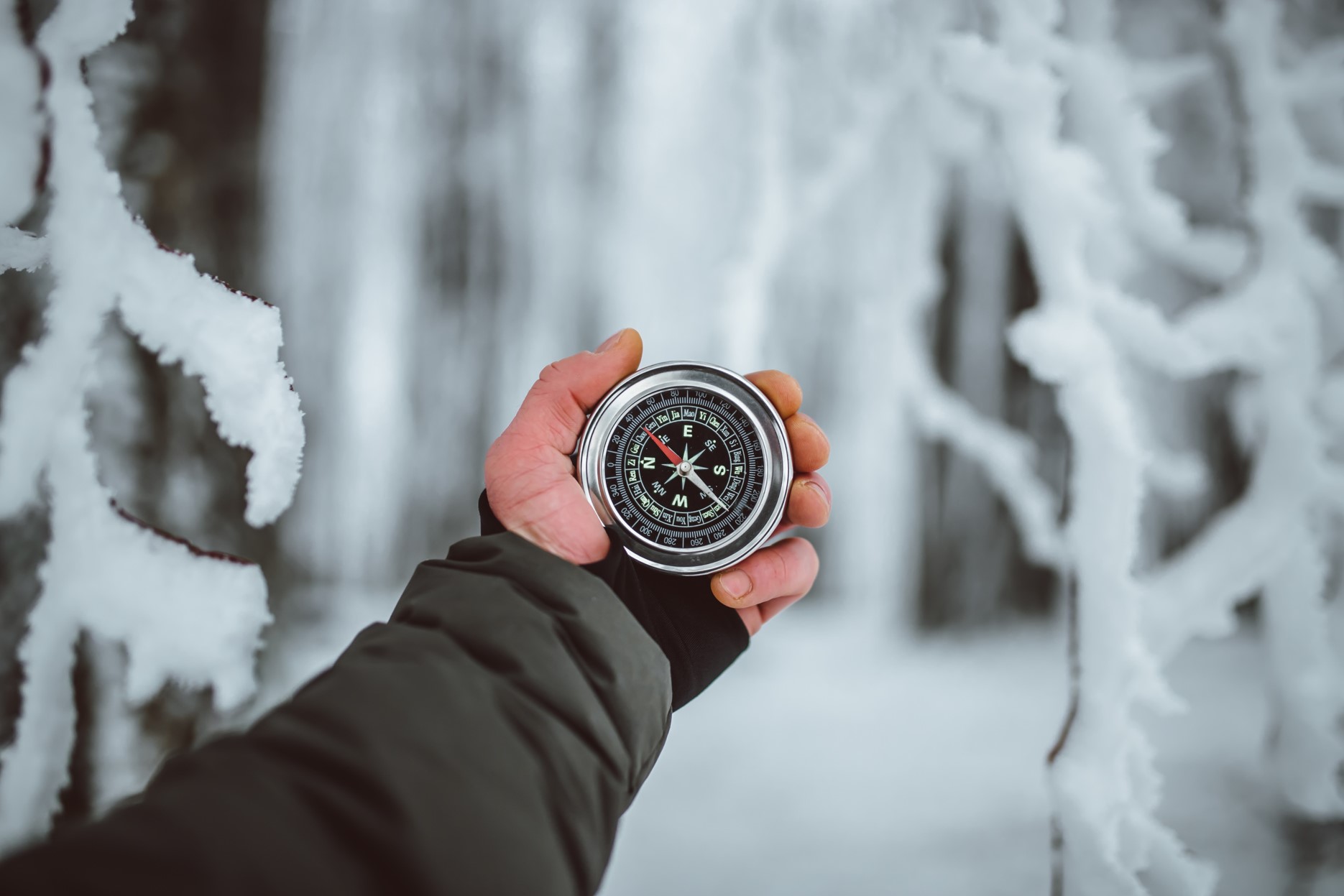Outstretched hand holding a compass pointing towards a snow-covered forest